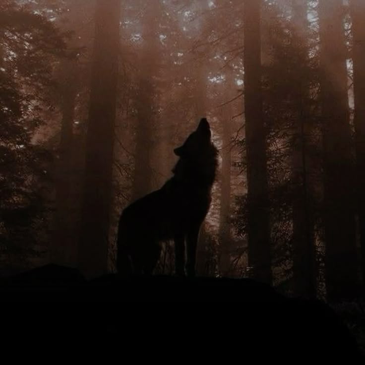 Werewolf
